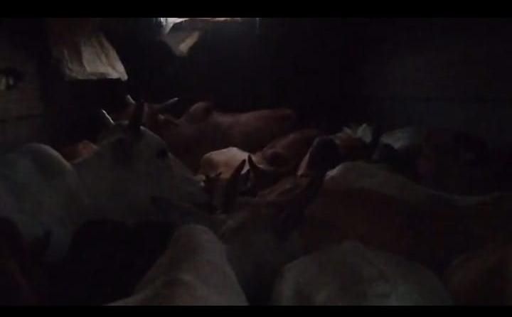 194545196373238128332168